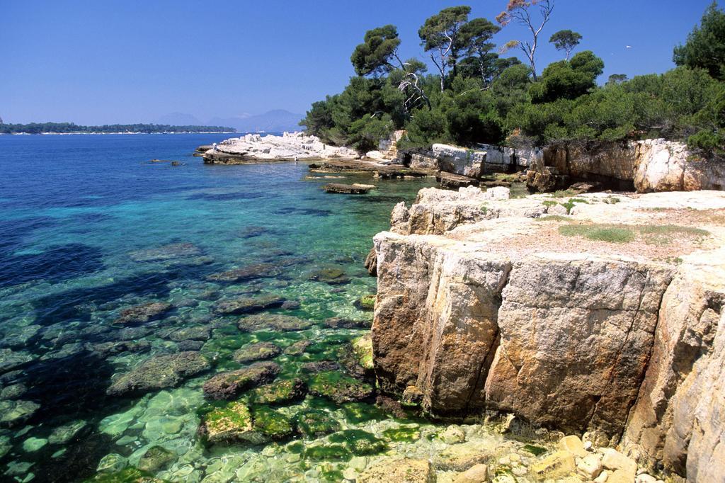 2 Bedroom Modern Apartment In Antibes With Sea View Екстер'єр фото